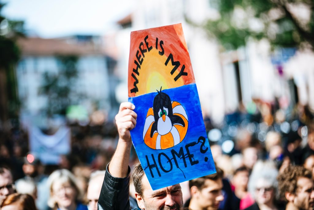 demonstration image, penguin with a lifebuoy asking where is my home?